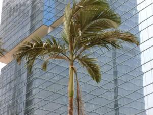 post-6384-064666400 1329148651_thumb.jpg