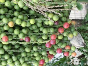 post-6384-073650400 1329468945_thumb.jpg