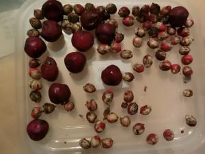 post-6384-082405500 1329391175_thumb.jpg