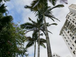 post-6384-099895000 1329148663_thumb.jpg