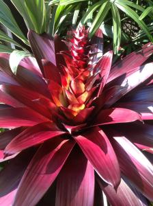 post-6412-0-01568200-1371875503_thumb.jp