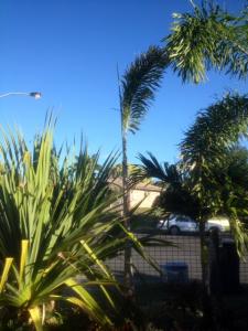 post-6412-0-15203100-1387357578_thumb.jp