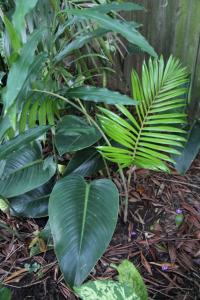 post-6412-0-24388000-1360563801_thumb.jp