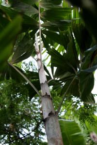 post-6412-0-25727100-1360559504_thumb.jp