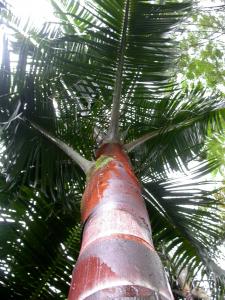 post-6412-0-32904100-1359957954_thumb.jp