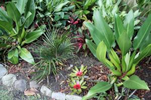 post-6412-0-48096700-1360563719_thumb.jp