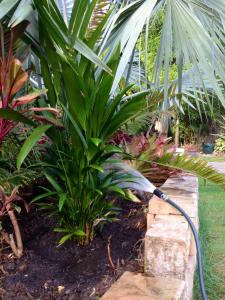 post-6412-0-64724700-1421827879_thumb.jp