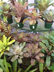 post-6412-0-69740400-1371943490_thumb.jp