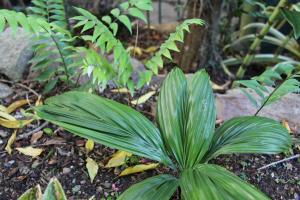 post-6412-0-76259500-1360562856_thumb.jp