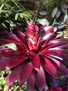 post-6412-0-91313800-1371875563_thumb.jp