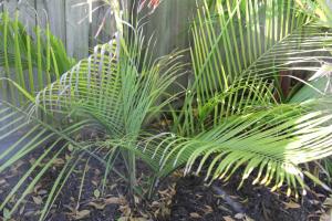 post-6412-090024800 1333234711_thumb.jpg