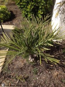 post-649-050461300 1334185342_thumb.jpg