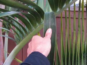 post-649-073318300 1320634812_thumb.jpg