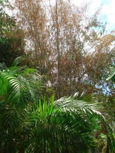 post-651-008300700 1339115989_thumb.jpg