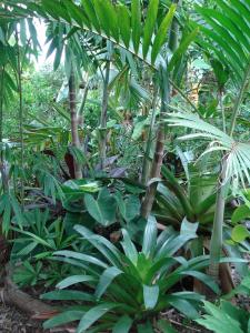 post-651-010266600 1313544758_thumb.jpg