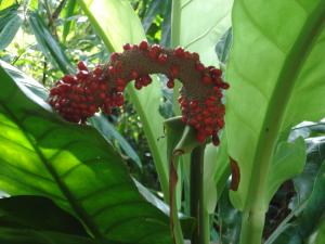 post-651-069246400 1313546206_thumb.jpg