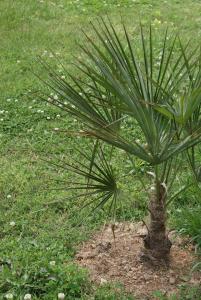 post-6650-006570900 1335546404_thumb.jpg