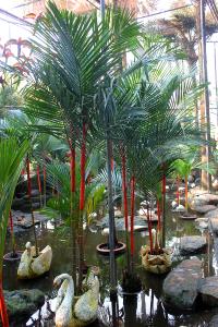 post-6682-0-69163700-1404667440_thumb.jp