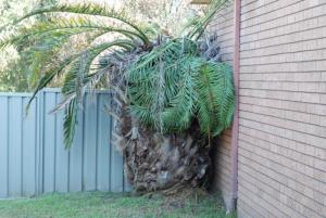 post-6684-0-19611700-1364805235_thumb.jp