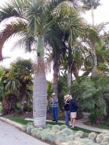 post-6724-0-60797500-1432847644_thumb.jp