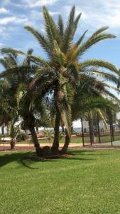 post-6724-0-61454400-1437142798_thumb.jp