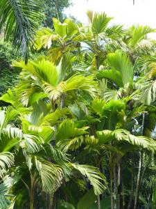 post-6735-0-00392200-1421774950_thumb.jp