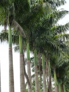 post-6735-0-00609700-1378322863_thumb.jp