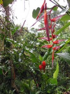 post-6735-0-00640400-1358979169_thumb.jp