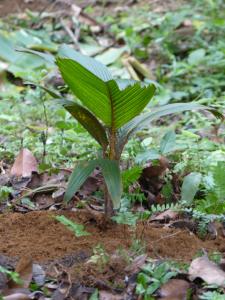 post-6735-0-02620200-1408466144_thumb.jp