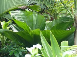 post-6735-0-04347900-1431406185_thumb.jp