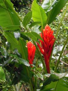 post-6735-0-07304600-1358979043_thumb.jp