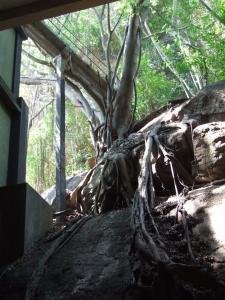 post-6735-0-07504500-1353351615_thumb.jp