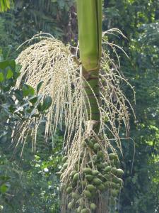 post-6735-0-08818200-1388663687_thumb.jp