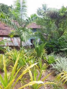 post-6735-0-10445000-1372003671_thumb.jp