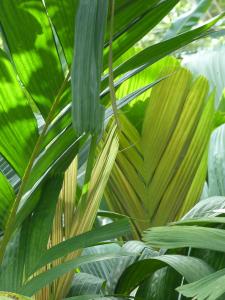 post-6735-0-10858800-1401906917_thumb.jp