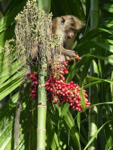 post-6735-0-13039000-1394474811_thumb.jp