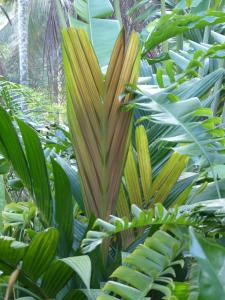 post-6735-0-13228900-1401906995_thumb.jp