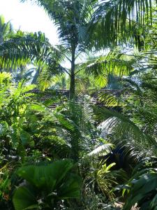 post-6735-0-13857200-1431406052_thumb.jp