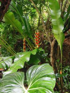 post-6735-0-15941500-1358979249_thumb.jp