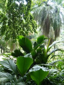 post-6735-0-16106600-1421775083_thumb.jp