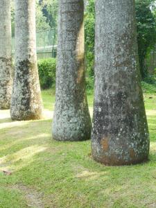 post-6735-0-23861500-1370979297_thumb.jp