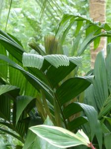 post-6735-0-25481800-1401906952_thumb.jp