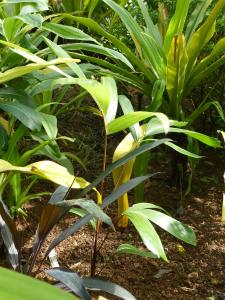 post-6735-0-27428900-1410106926_thumb.jp