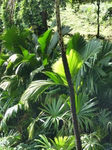 post-6735-0-28320500-1421775135_thumb.jp