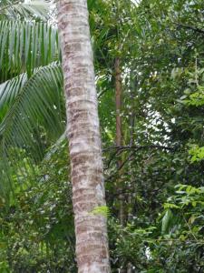 post-6735-0-28507400-1358979139_thumb.jp