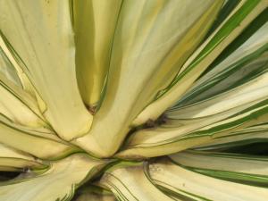 post-6735-0-33161800-1391369921_thumb.jp