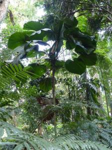 post-6735-0-33603900-1378322790_thumb.jp