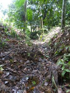 post-6735-0-34772900-1408466177_thumb.jp