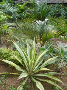 post-6735-0-35943300-1391370108_thumb.jp