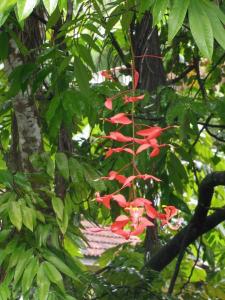 post-6735-0-37773900-1358979191_thumb.jp